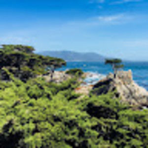 Meet your Posher, Tanya